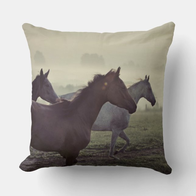 Wild horses cushion (Front)