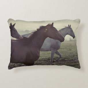 Wild horses decorative cushion