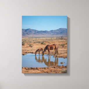 Wild Horses Desert Water Reflection Art Canvas Print