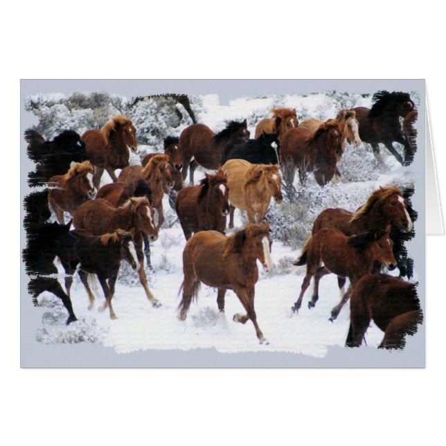 Wild Horses Driven (Front Horizontal)
