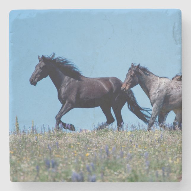 Wild Horses in Lupine Stone Coaster (Front)