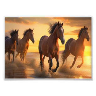 Wild Horses in Sunset Splendor Photo Print