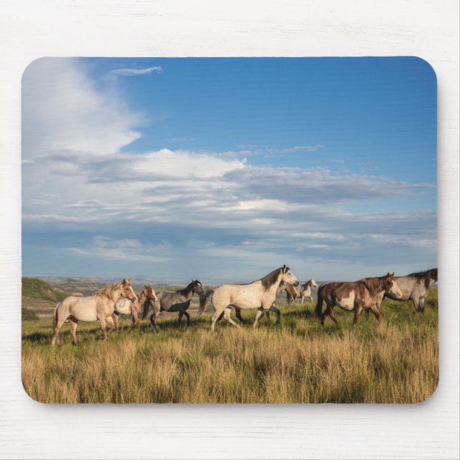 Wild Horses in Theodore Roosevelt National Park Mouse Pad (Front)