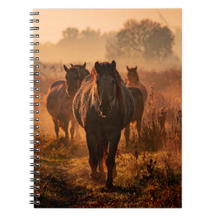 Wild Horses: Intense Gaze Encounter Notebook