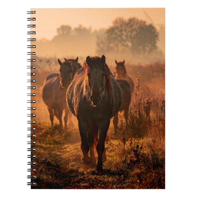 Wild Horses: Intense Gaze Encounter Notebook (Front)