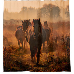 Wild Horses: Intense Gaze Encounter Shower Curtain