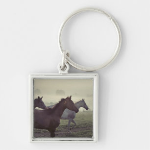 Wild horses key ring