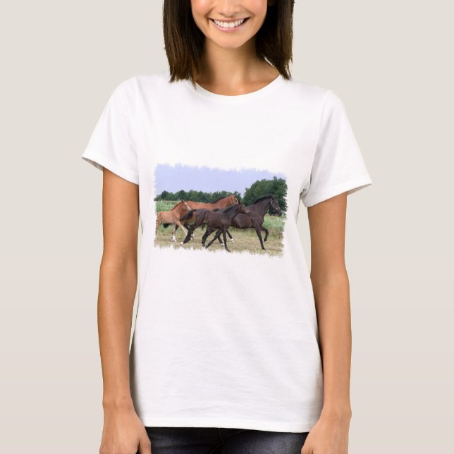 Wild Horses Ladies Fitted Shirt (Front)