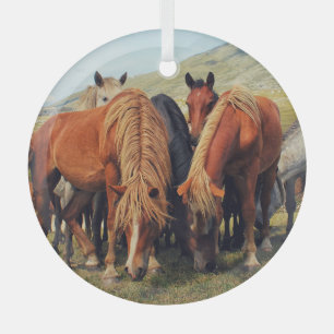 Wild Horses Livno Nature Scene Glass Tree Decoration