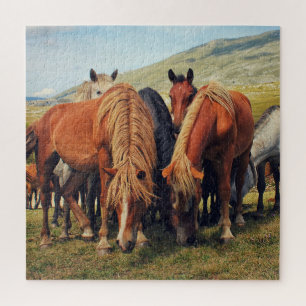 Wild Horses Livno Nature Scene Jigsaw Puzzle