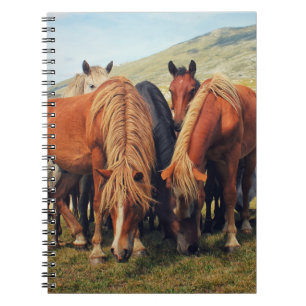 Wild Horses Livno Nature Scene Notebook