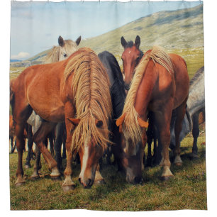 Wild Horses Livno Nature Scene Shower Curtain
