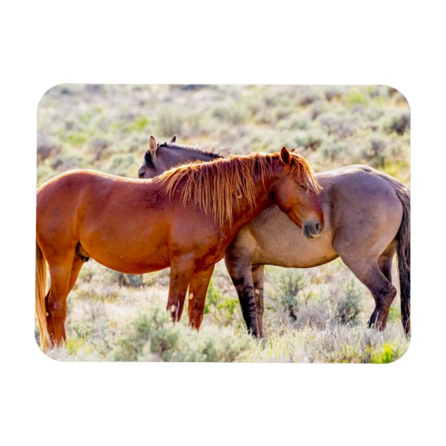 Wild Horses Magnet (Horizontal)
