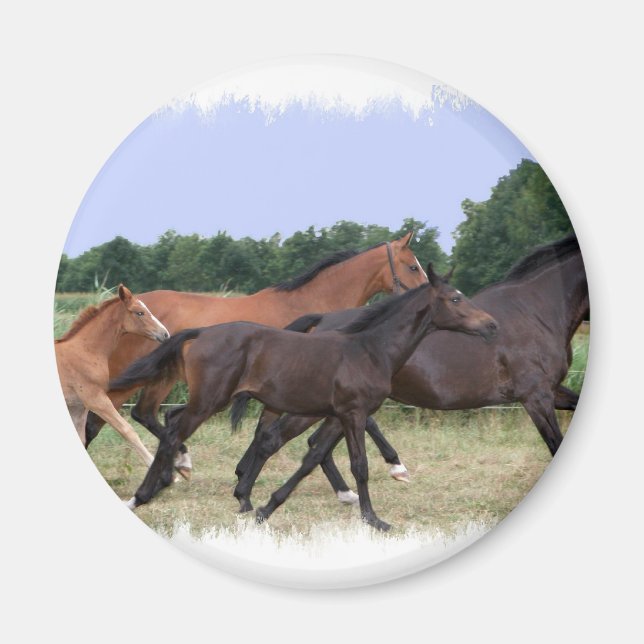 Wild Horses Magnet (Front)