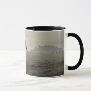 Wild horses mug