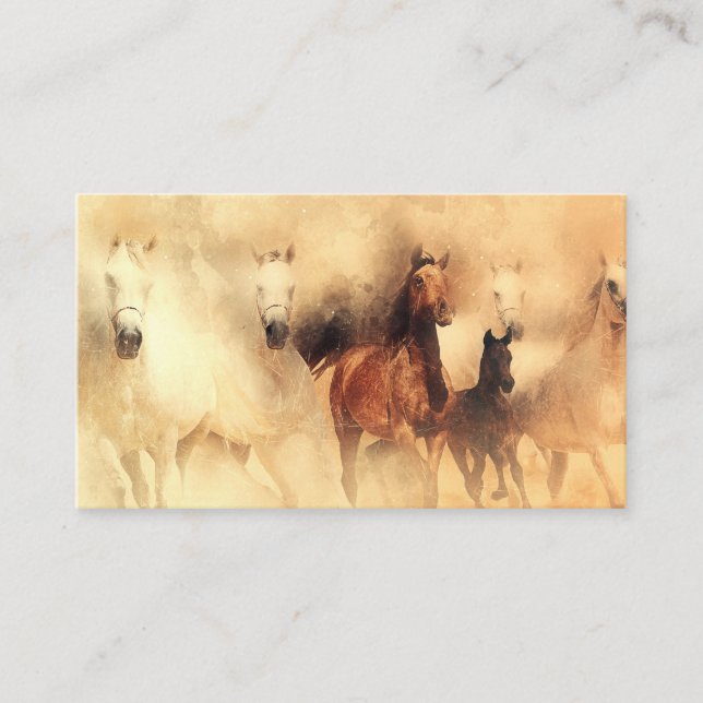 Wild Horses Mustangs Business Card (Front)