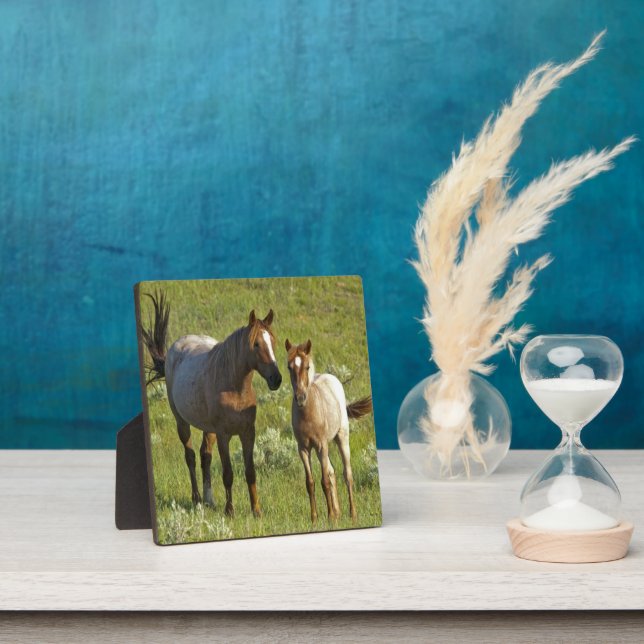 Wild Horses North Dakota Plaque (Insitu)