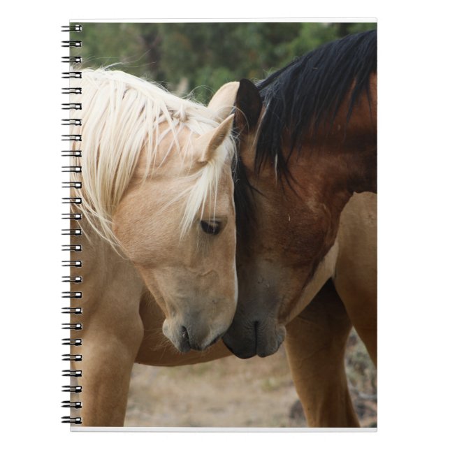 Wild horses notebook  (Front)