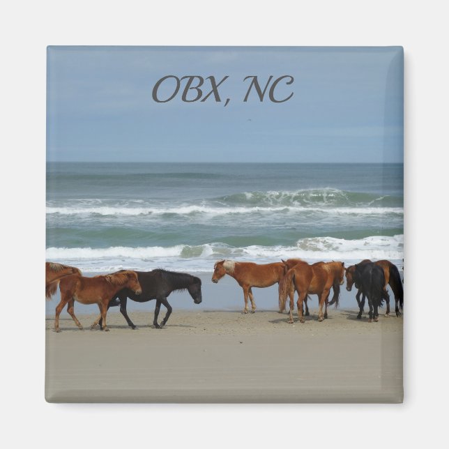 Wild Horses OBX NC Magnet (Front)