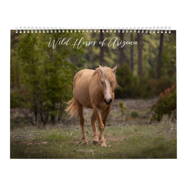 Wild Horses of Arizona Calendar (Cover)