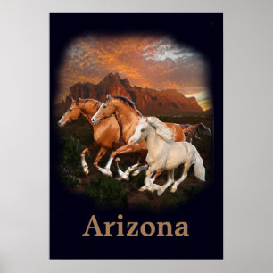 Wild Horses of Arizona Poster
