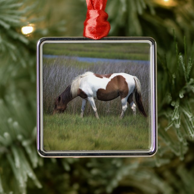 Wild Horses of Assateague Ceramic Ornament (Tree)