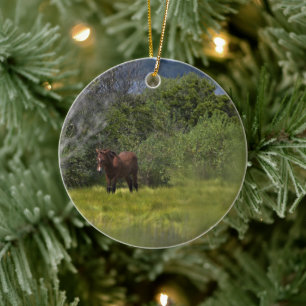 Wild Horses of Assateague Ceramic Ornament
