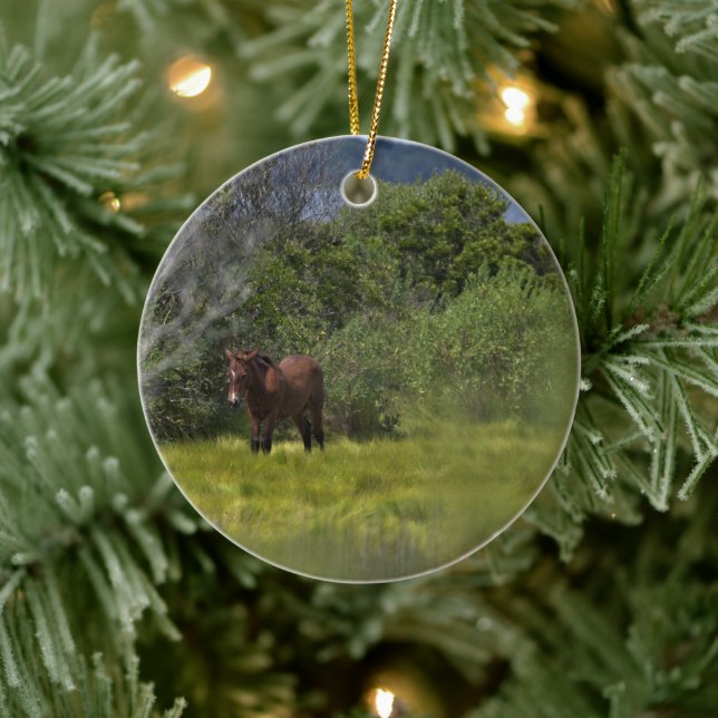 Wild Horses of Assateague Ceramic Ornament (Tree)