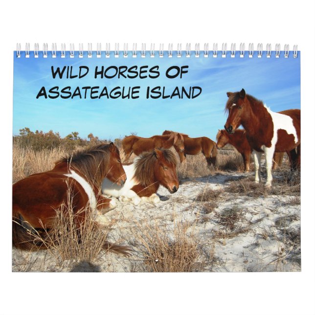 Wild Horses Of Assateague Island Calendar (Cover)