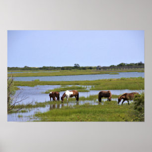 Wild Horses of Assateague Poster