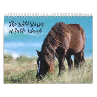Wild Horses of Sable Island