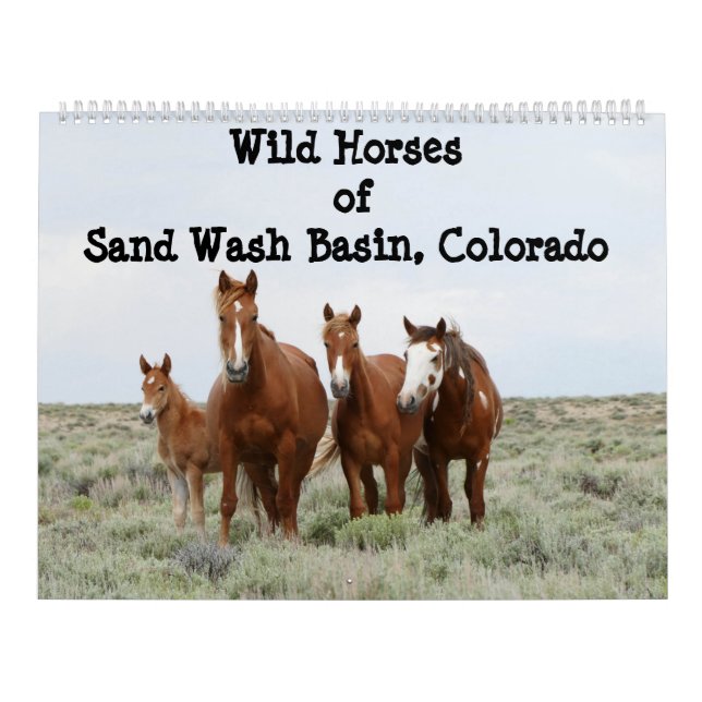 Wild Horses of Sand Wash Basin Calendar (Cover)