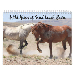 Wild Horses of Sand Wash Basin Calendar