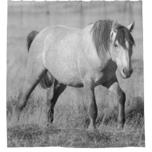 WILD HORSES OF UTAH GREY STALLION SHOWER CURTAIN