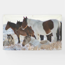 WILD HORSES OF UTAH ONAQUI HERD BANNER