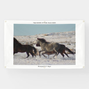 WILD HORSES OF UTAH, ONAQUI HERD Banner W/ GROMMET