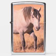 WILD HORSES OF UTAH ONAQUI HERD Zippo Lighter