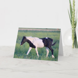 WILD HORSES OF UTAH OURAY CARD