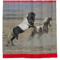 WILD HORSES OF UTAH PINTO FIGHTING SHOWER CURTAIN