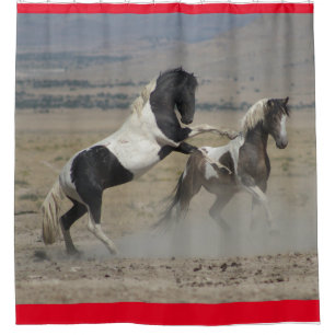 WILD HORSES OF UTAH PINTOS FIGHTING SHOWER CURTAIN