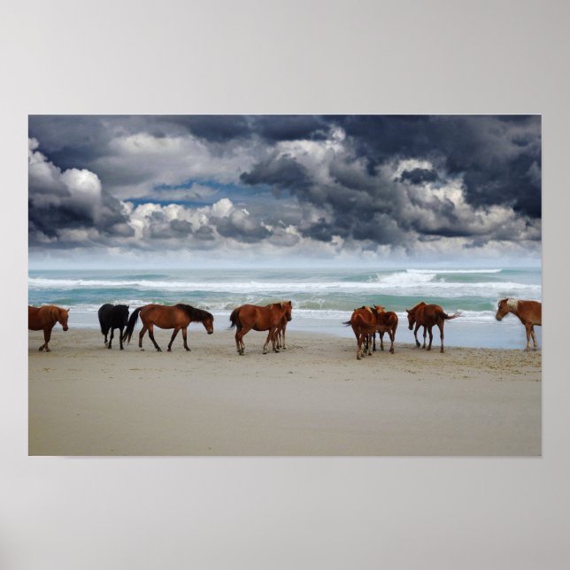 Wild Horses Outer Banks Corolla NC Poster (Front)