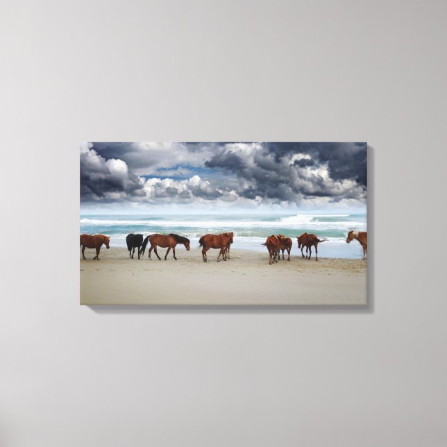 Wild Horses Outer Banks NC Canvas Print (Front)