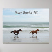 Wild Horses Outer Banks OBX Corolla NC