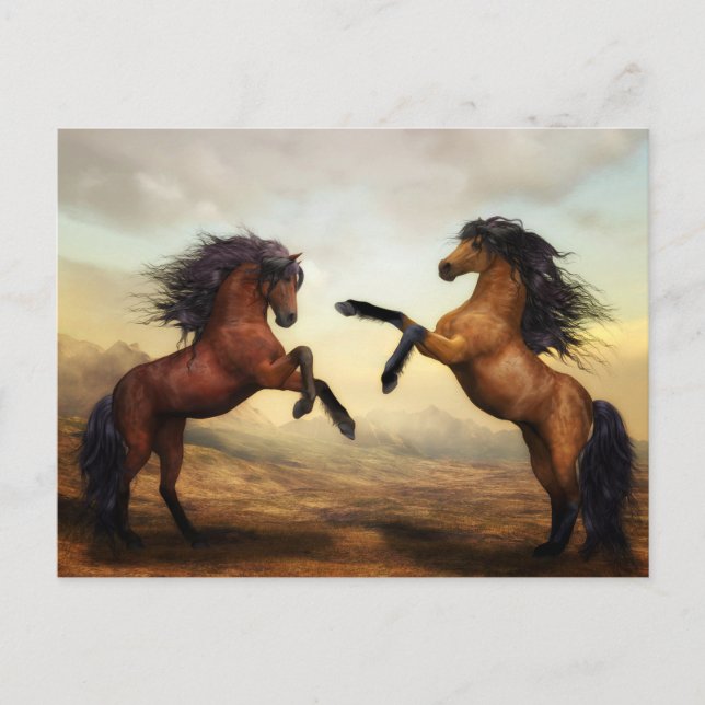 Wild Horses Postcard (Front)