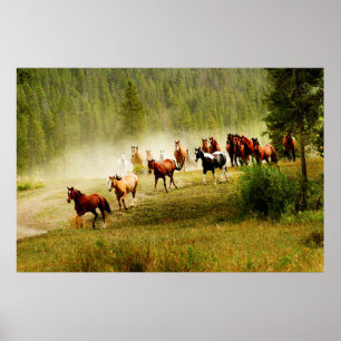 Wild Horses Poster