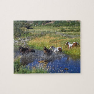 Wild Horses Puzzle