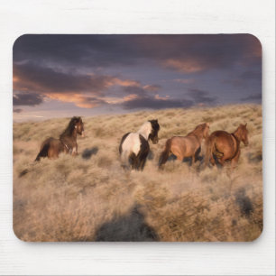 Wild Horses Running Mouse Pad