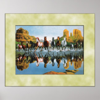 Wild horses running through water poster