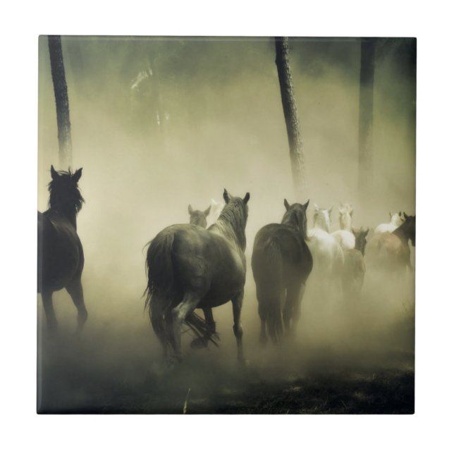Wild Horses Running Tile (Front)