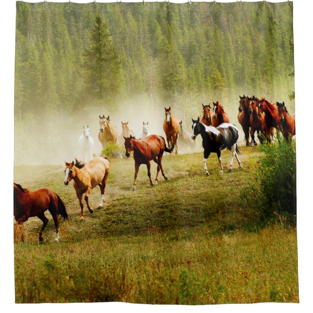 Wild Horses Shower Curtain (Front)